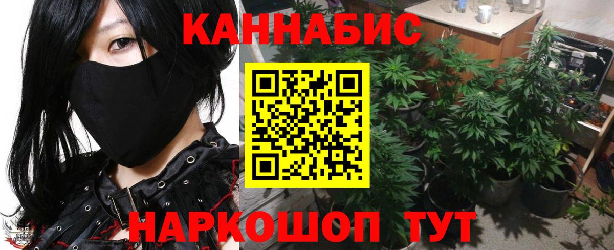 Бошки марихуана планчик Донской